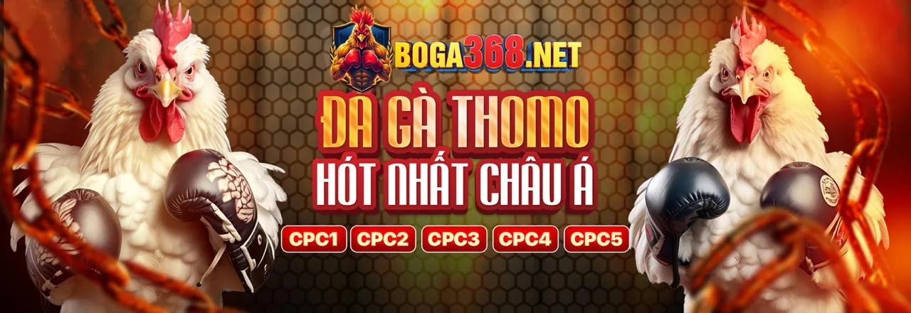 Nền tảng giải trí tải nh882 uy tín hàng đầu Việt Nam